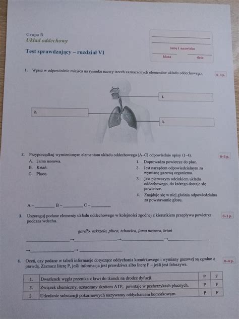 Sprawdzian Z Biologii Klasa 7 Układ Oddechowy I Wydalniczy Margaret