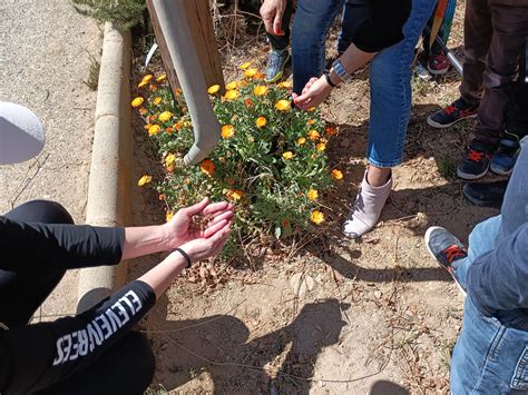 Llega La Primavera A Graena Cpr Federico Garc A Lorca