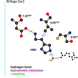 Histamine Binding Modes D Binding Mode Of Histamine Within The H