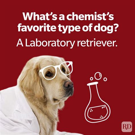 50 Chemistry Jokes And Puns Every Science Nerd Will Appreciate