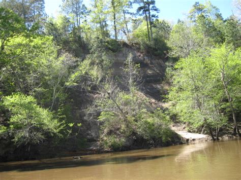 Cliffs of the Neuse State Park, a North Carolina State Park located ...