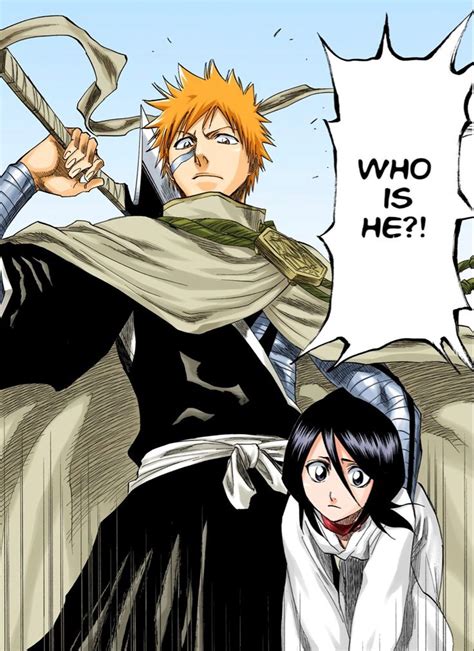 Pin By Nika Ichigo On Bleach Anime Bleach Manga Ichigo