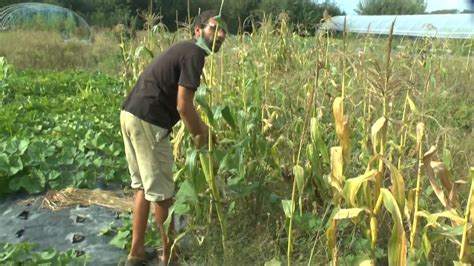 2018 Visite du Jardin de Manspach Maïs Courges 18 22 Fabrice