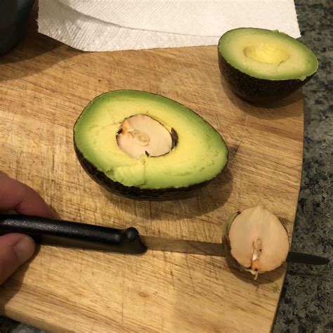 Avocado pit fail : r/mildlyinfuriating