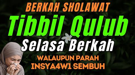 Sholawat Pembuka Rezeki Penyejuk Hati Sholawat Tibbil Qulub Merdu