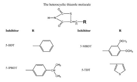 Structure Of The Investigated Thiazole Derivatives Download Scientific Diagram