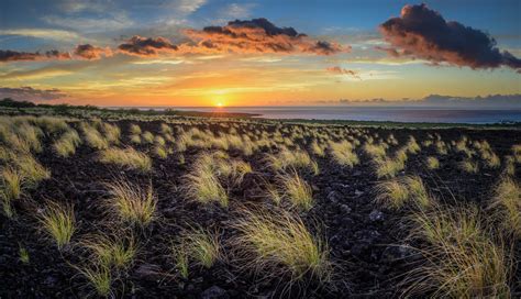 Cloud Grass Horizon Nature Ocean Sky Sunset Wallpaper Resolution