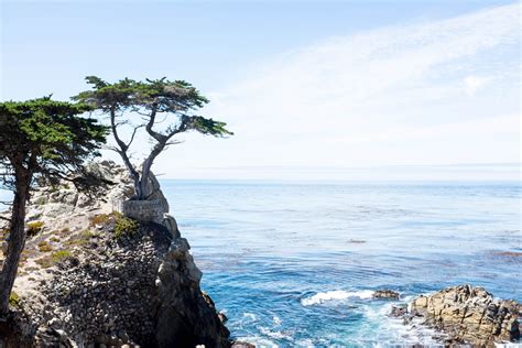 A Quick Guide To 17 Mile Drive in Pebble Beach, California