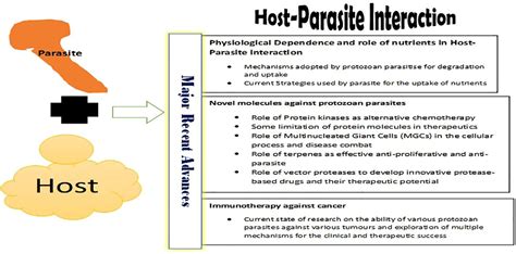 Frontiers Editorial Reviews In Parasite And Host