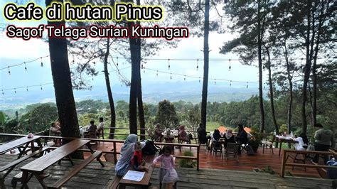 Tempat Nongkrong Asik Dibawah Pohon Pinus Sagof Coffee Eatery Telaga