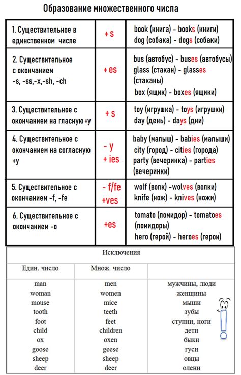 Подготовка к МЦКО 5 класс (грамматика)