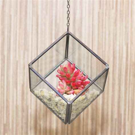 Geometric Glass Cube Succulent Terrarium Diy Kit By Dingading