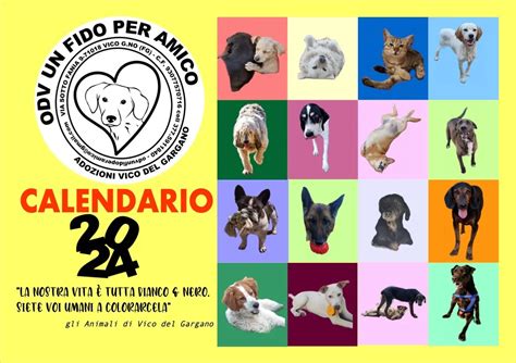 Vico Del Gargano Il Calendario Solidale Per Presentare I Randagi Del