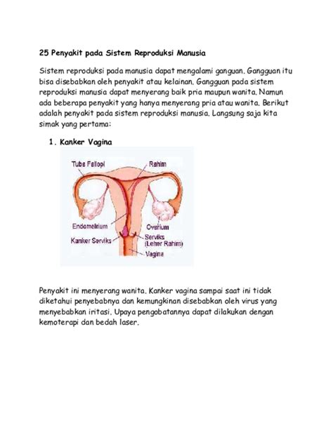 Soal Dan Jawaban Materi Sistem Reproduksi Pada Manusia Kelas 9 Materi Soal