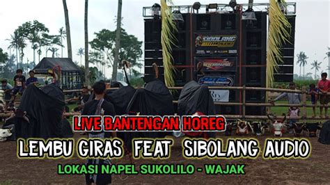 Live Bantengan Lembu Giras Feat Sibolang Audiolokasi Napel Sukolilo