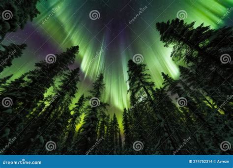 The Mesmerizing Northern Lights Aurora Borealis Lighting Up The