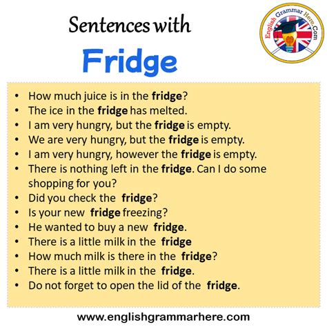 Sentences With Fridge Fridge In A Sentence In English Sentences For