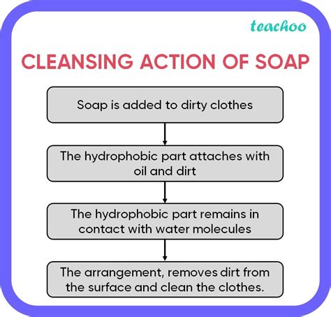 [class 10] With Help Of A Diagram Explain Cleansing Action Of Soap