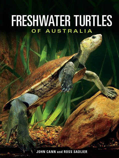 Freshwater Turtles Of Australia NHBS Academic Professional Books