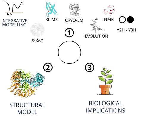 Generating Structural And Biochemical Insight Into Multi Subunit