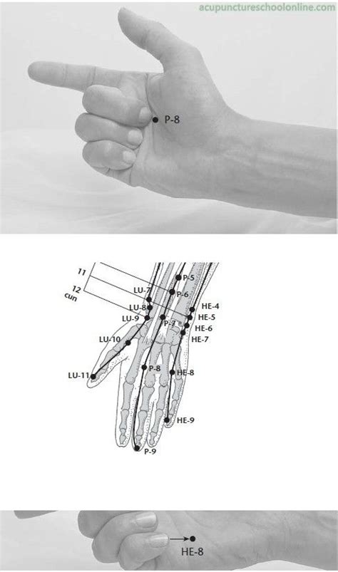 Acupuncture Point Triple Energizer 5 Te 5 Artofit