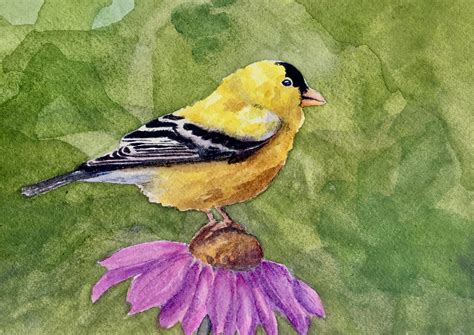 Goldfinch 5x7 Watercolor On 140lb Cp Paper Not Super Happy With This