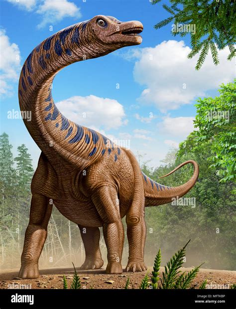 Patagotitan Es Un G Nero De Saur Podos Titanosaurian Desde La Patagonia