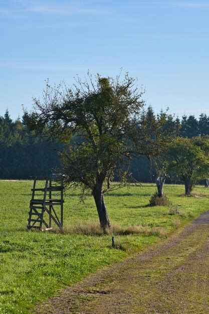 Premium Photo Meadow With Hiking Trail In Rhinelandpalatinate View