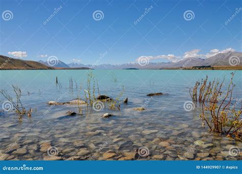 Lake Tekapo New Zealand In The Mackenzie Basin Stock Image Image Of