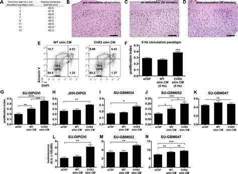 Neuronal Activity Promotes Glioma Growth Through Neuroligin 3 Secretion