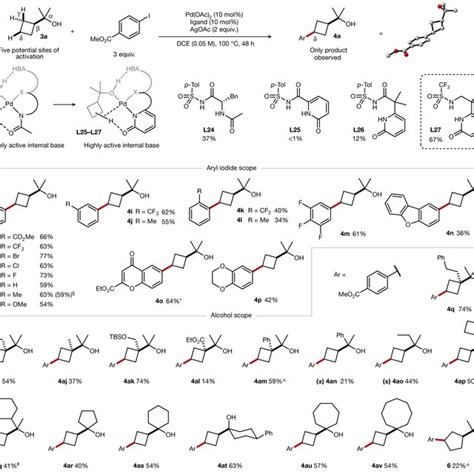 Ligand Optimization And Scope For Alcohol Directed Arylations Of