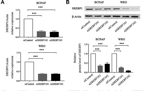 Figure From High Throughput Sequencing Analysis Of Differentially