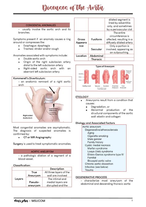 SOLUTION: Diseases of the aorta - Studypool