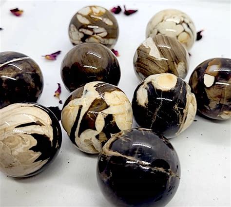 Earth Treasures: Peanut Wood Jasper - Naturenews.africa