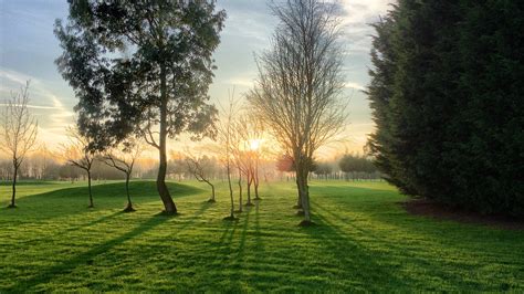 Free Images Landscape Tree Nature Forest Grass Sunshine Sunset