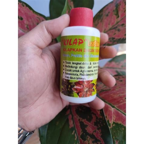 Jual KILAP DAUN LEAFSHINE 100 ML SEMIR PENGKILAP DAUN Shopee Indonesia