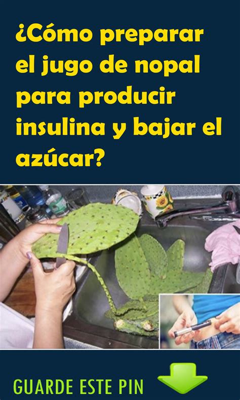 C Mo Preparar El Jugo De Nopal Para Producir Insulina Y Bajar El