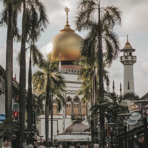 royal   kampong gelam  inspired guide  singapores