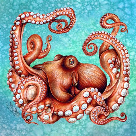 Kraken Octopus Art Canvas Print Original X Sea Creature Etsy Uk