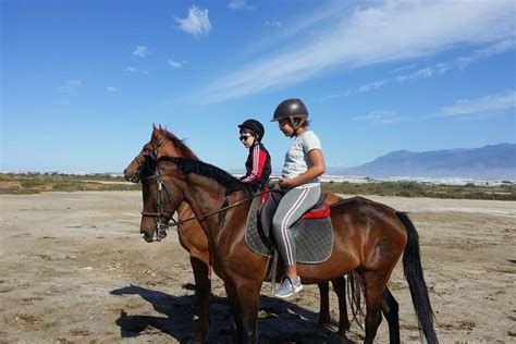 Tripadvisor Reiten am Strand von Roquetas de Mar zur Verfügung