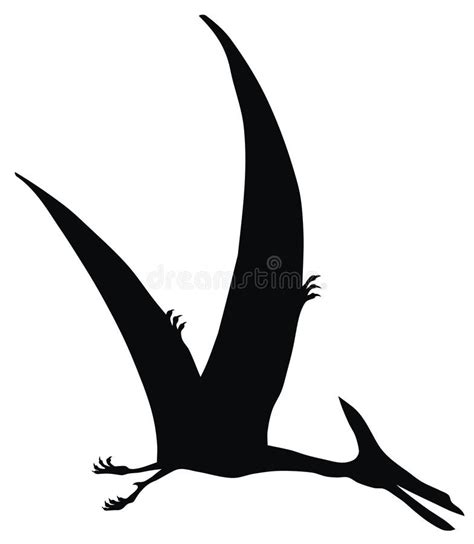 Pteranodon Stock Vector Illustration Of Vector Silhouette 8097498