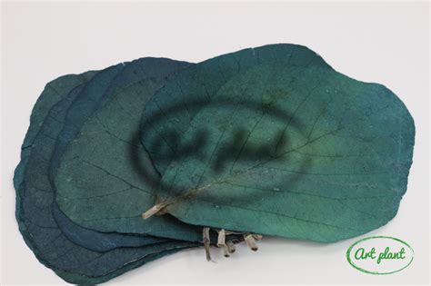 Frunze Cobra Verde Smarald