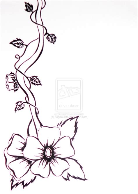 Flowers On A Vine Drawing