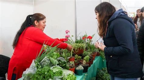 Más de 40 mil vecinos recorrieron la Expo Agroproductiva 2024 Sur54