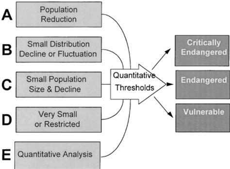 Summary Outline Of The Iucn Red List Criteria Ae For The Categories