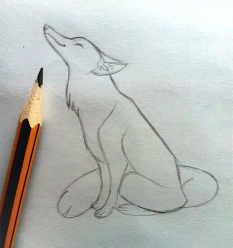 Fox Drawing: Easy, Cute and Pencil