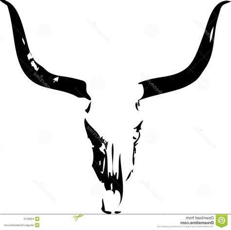 Steer Skull Vector at Vectorified.com | Collection of Steer Skull ...