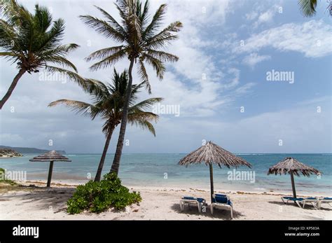 A Sunny Caribbean Beach With Sunloungers And Umbrellas Stock Photo Alamy