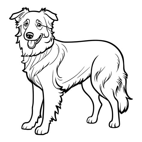Premium Photo Border Collie Dog Coloring Page For Kids