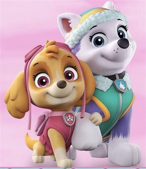 Pin By Fabiana Magallanes On Paw Patrol Skye Paw Patrol Everest Paw